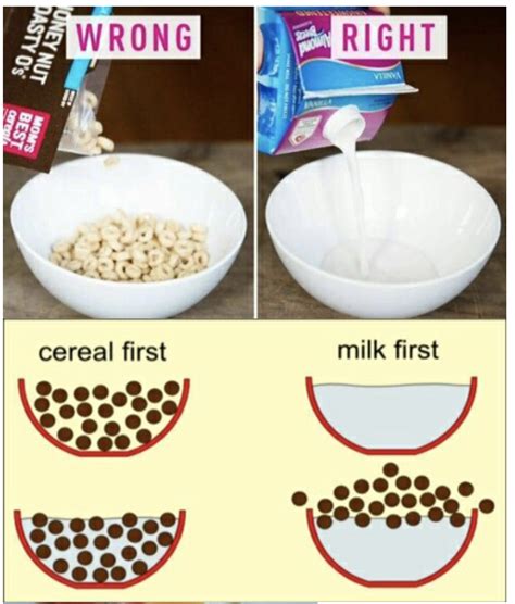 Kpkf Cereal Before Milk Vs Milk Before Cereal Netizen Nation