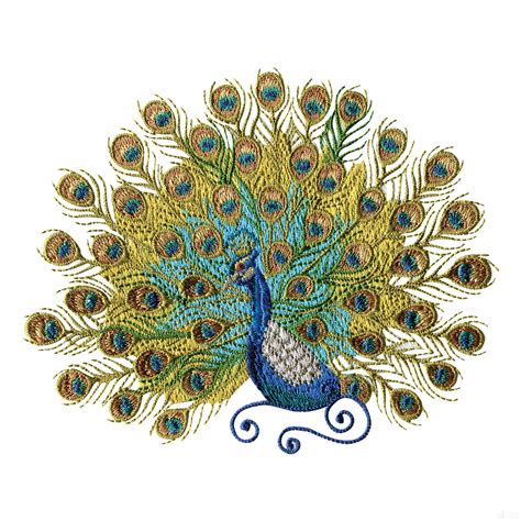 Embroidery Designs Peacock Celebrating The Majestic Bird With