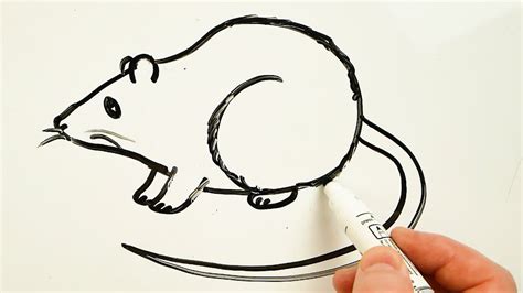 Easy Whiteboard Drawings Step By Step Joane Bussey