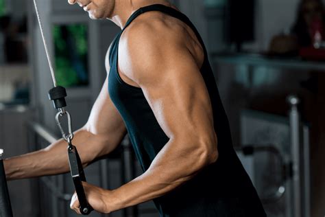 6 Most Effective Triceps Workouts At Home To Build Muscle Healthgrean