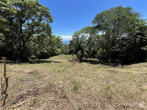 Acres Amazing Ocean View Acreage With Multiple Building Sites And Legal Water