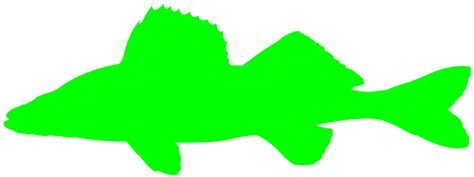 Download Walleye Silhouette | Free vector silhouettes