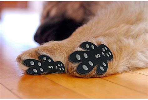 Best Non Slip Paw Traction Pads Dog Paw Grips