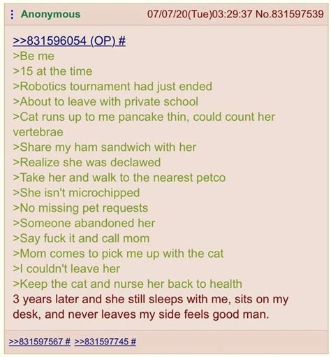 Anon Gets A Gf Wholesomegreentext