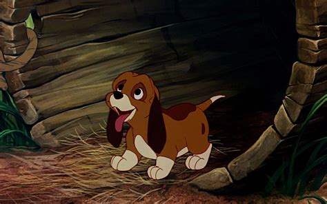 The Fox And The Hound Hd Wallpaper Background Image 1920x1200 Id