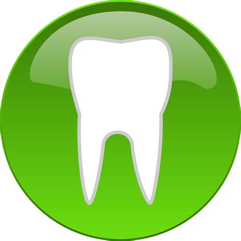 Free Vector Graphic Button Logo Teeth Dental Tooth Free Image On