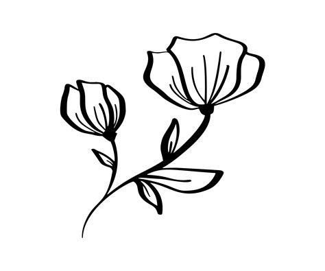 Hand Drawn Modern Flowers Drawing And Sketch Floral With Line Art
