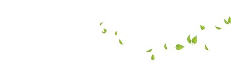 Falling Green Leaves Png Png Image