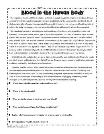 Circulatory System Blood Comprehension Worksheets
