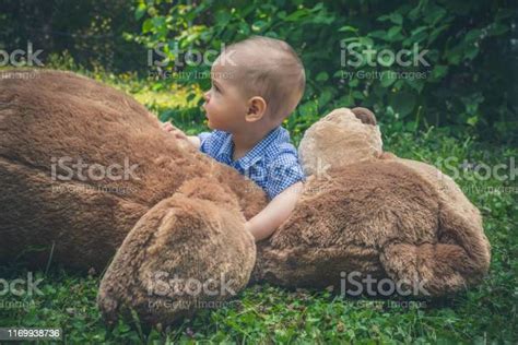 달콤한 작은 아기 소년 놀이 와 그의 거대한 테디 베어 에 The 공원 갈색에 대한 스톡 사진 및 기타 이미지 갈색 개념 개념과 주제 Istock