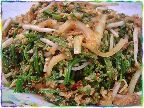 Sangat sedap kerabu pucuk paku. Hanieliza's Cooking: Kerabu Pucuk Paku