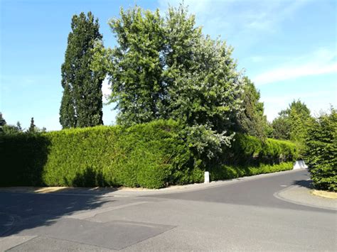 Ist ein passender ansprechpartner für sie dabei? Ferienwohnung.Koeln stellt vor: der Stadtteil Hahnwald!