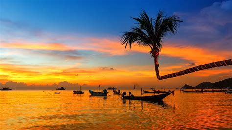 Beautiful Sunset On The Beach Koh Tao Thailand Windows Spotlight Images