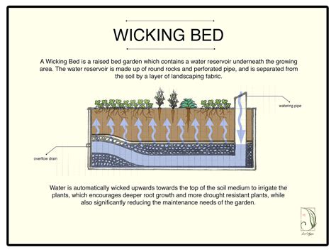 I discovered wicking garden beds when i did volunteer work at the home of a local master gardener. wicking bed 1 - Leaf Ninjas