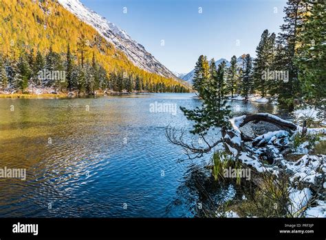 The Landscape With The River In Altai Mountains In Autumn Siberia