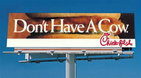 the chick fil a s cow and its untold story adweek