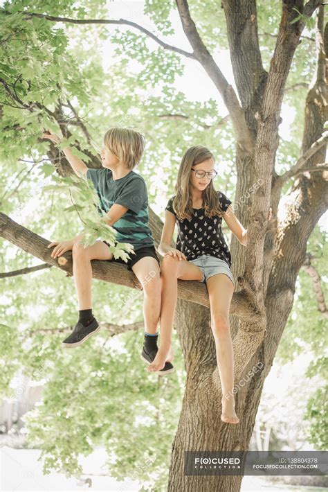 Children Climbing Tree — Photography Sitting Stock Photo 138804378