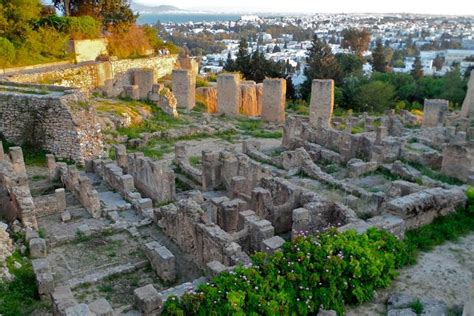 Historical Tour Of Ancient Carthage 2022 Tunisia Viator
