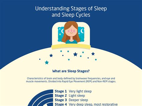 Infographic Stages Of Sleep And Sleep Cycles Sleep Cycle Stages Of