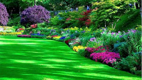 아름다운 정원 이미지 무료 다운로드 정원 벽지 다운로드 1600x900 Wallpapertip