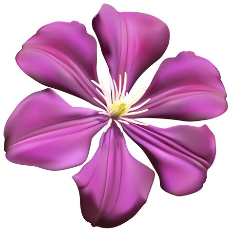 Purple Flower Purple Flower Transparent Png Clip Art Image Png