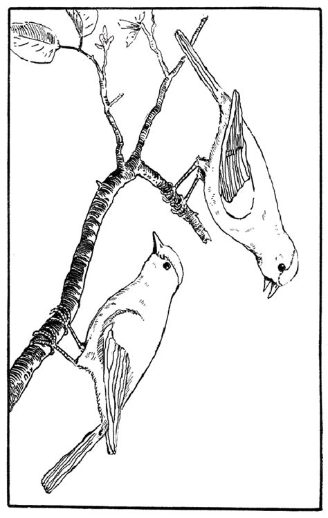 2) click on the coloring page image in the bottom half of the screen to make that frame active. Winter bird coloring pages download and print for free