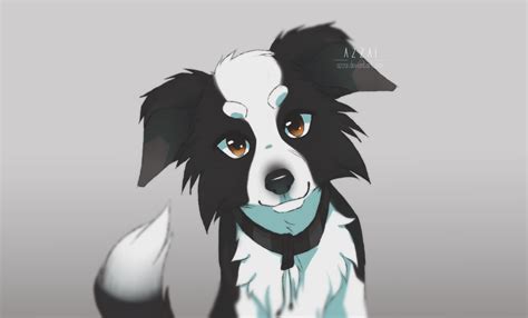 Border Collie By Azzai On Deviantart Cute Animal Drawings Dog
