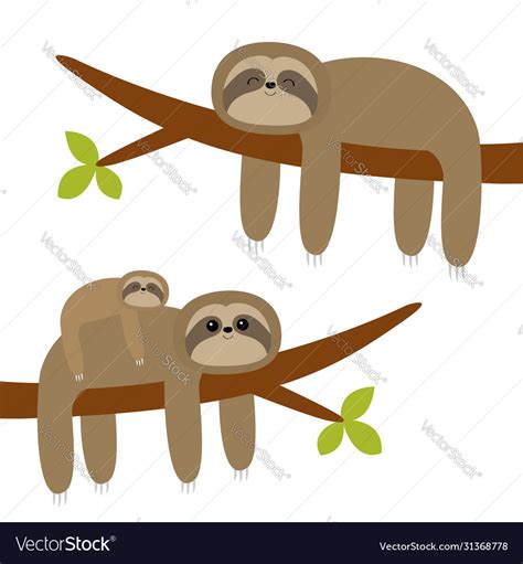 Sloth Hanging On Tree Branch Leaf Cute Cartoon Vector Image