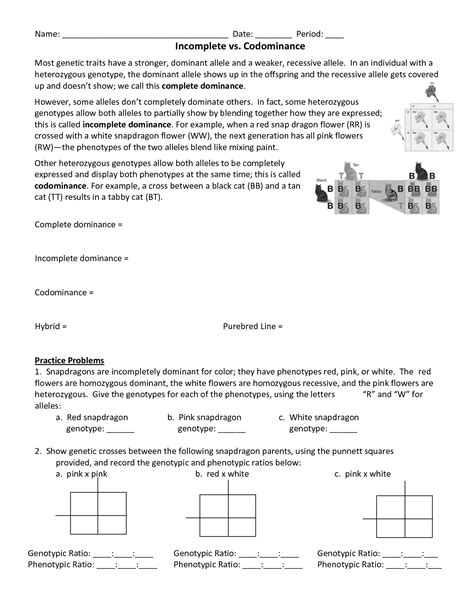 A punnett square simulates two organisms reproducing sexually, examining just one. 16 Best Images of Incomplete And Codominance Worksheet ...