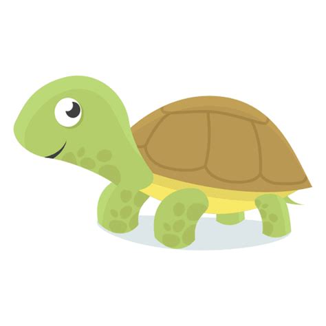 Turtle Baby Illustration Transparent Png And Svg Vector File