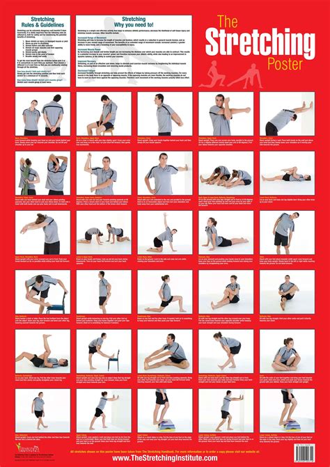 39 Full Body Stretch After Workout Gym Perfectabsworkout