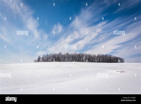 Wispy Clouds Over A Cluster Of Trees And Snow Covered Farm Fields In