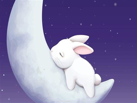 White Bunny Wallpapers Top Những Hình Ảnh Đẹp