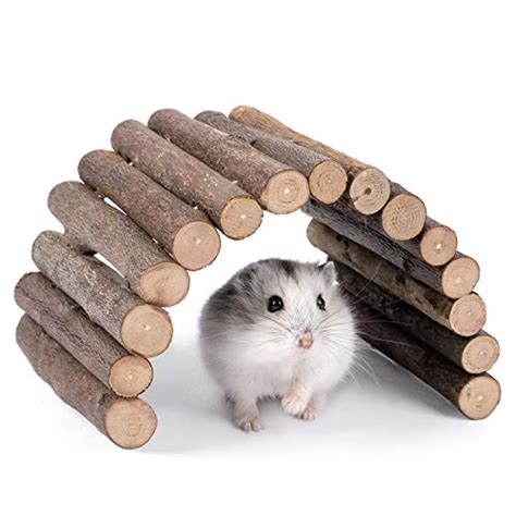 Best Toys For Dwarf Hamsters 2021 Review Why Do Dwarf Hamsters Need