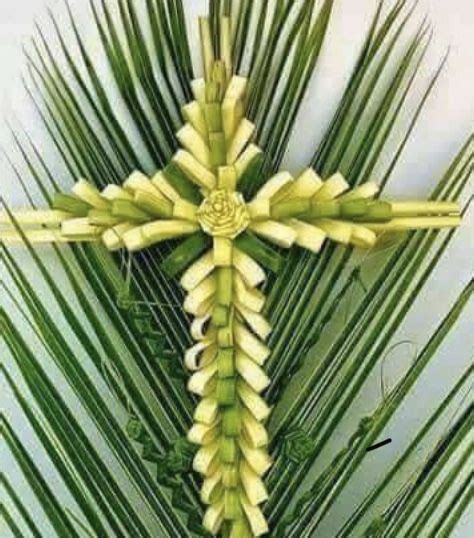 Pin By Cathie On Easter And Spring In 2020 Palm Sunday Palm Sunday