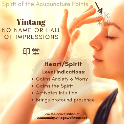 Yintang An Acupuncture Point That Calms The Spirit Eases Anxiety