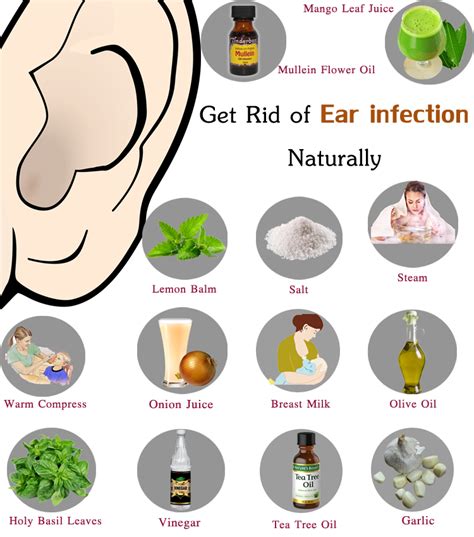 Related Image Ear Infection Remedy Ear Infection Home Remedies Ear