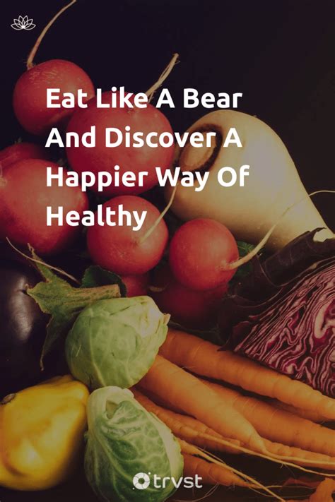 Eat Like A Bear And Discover A Happier Way Of Healthy The Bear Kitchen