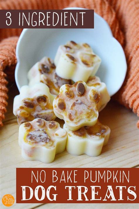 Easy Pumpkin No Bake Treats For Dogs Just 3 Ingredients No Bake Dog