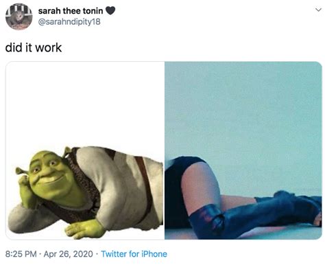 Shrek Thigh High Boots Mashups Know Your Meme