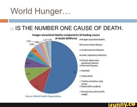 World Hunger Is The Number One Cause Of Death Hunger Associated