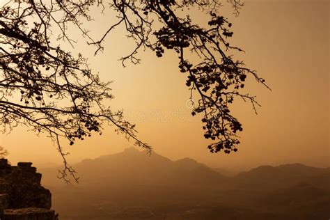 Dried Trees With Mountain Views Sunset Stock Image Image Of Nature