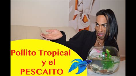 Pollito Tropical Y El Pescaito Youtube