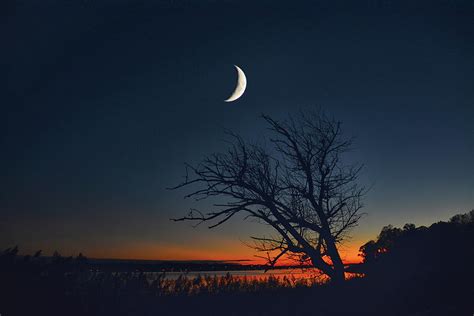 Crescent Moon Of The Navesink River Photograph By Raymond Salani Iii