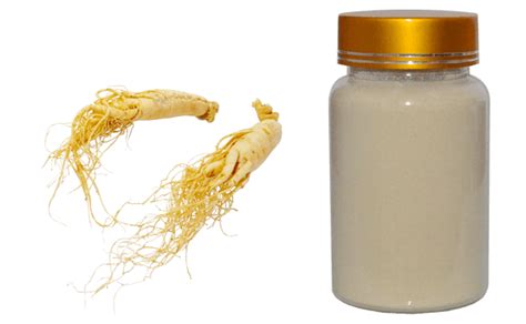 Panax Ginseng Extract - Standard Herb Extract - Quality ...