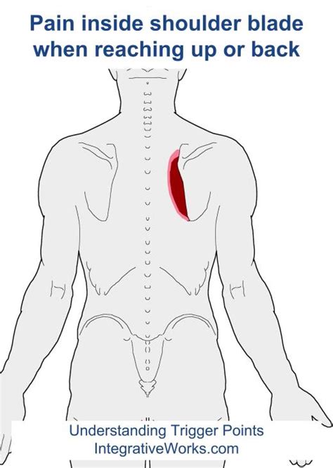 For example, many people have a warning signal within their body which lets them although this is rare, angina pectoris can be experienced in the shoulder blades but it begins in the chest. upper back | | Integrative Works