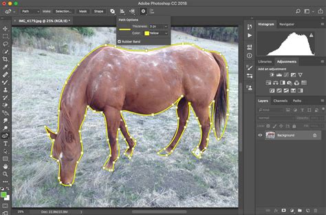 While results aren't perfect, it'll at least give you a head start that. Adobe Photoshop CC 2018 review: Photo editor gets into the ...