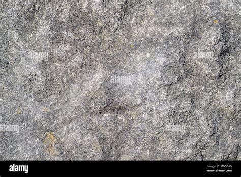 Grey Rock Grainy Texture Stock Photo Alamy