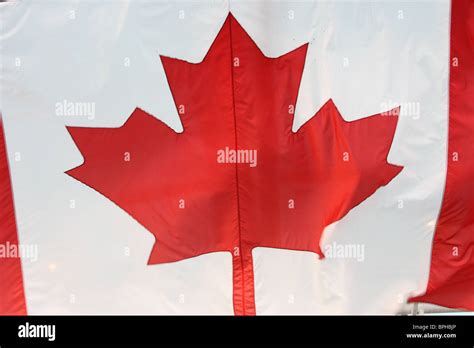 Canadian Flag Leaf Hi Res Stock Photography And Images Alamy