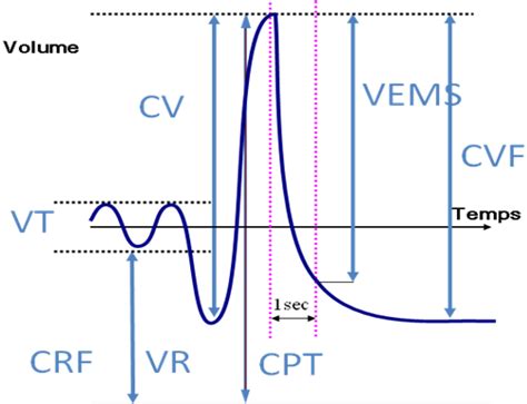 Capacit Pulmonaire Vitale Capacite Vitale